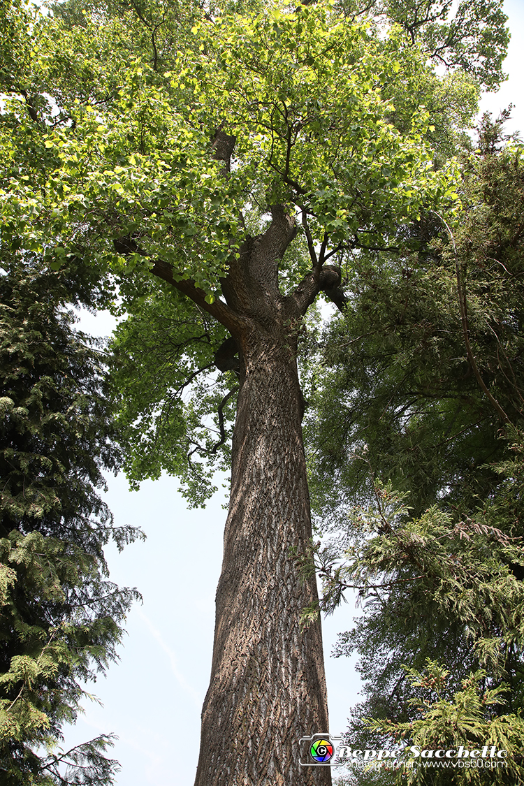 VBS_1539 - Castello di Miradolo - Mostra Oltre il giardino l'Abbecedario di paolo Pejrone.jpg